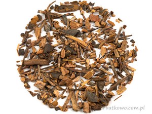 Sarsaparilla meksykańska – korzeń